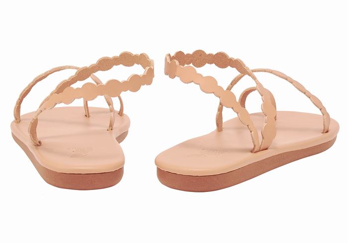 Sandales Toe-Post Ancient Greek Sandals Cronos   | EGF-5579946